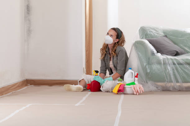 Reliable Mold Testing contractor in Medina, TX by WQB Mold Removal
